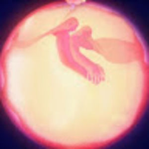 Meet your Posher, Alyx